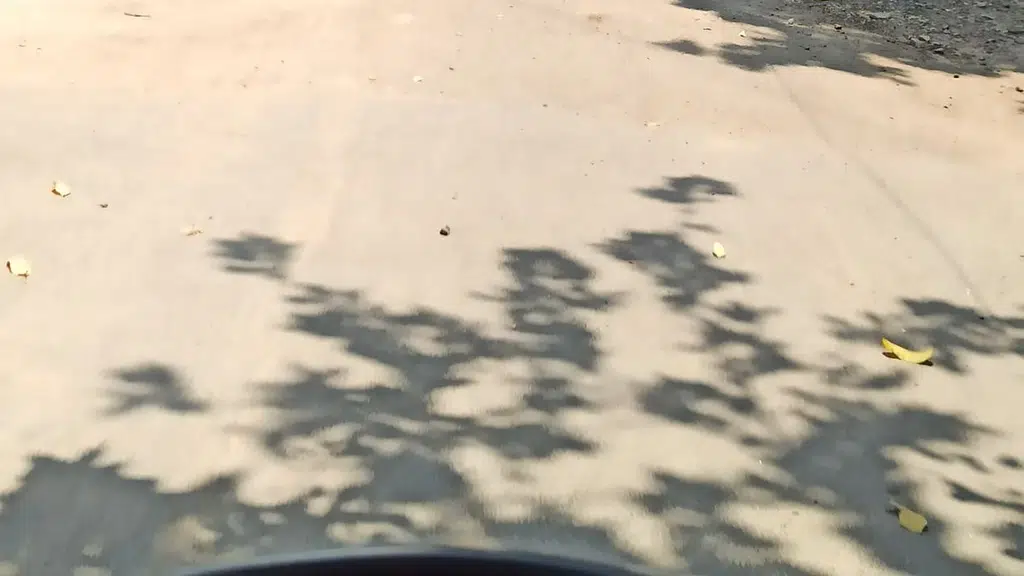 Chennai Corporation Park