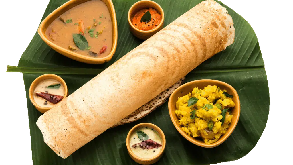 Karnataka Cafe Udaipur