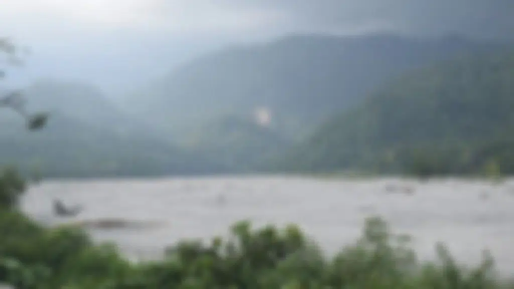 Jayanti River View Homestay
