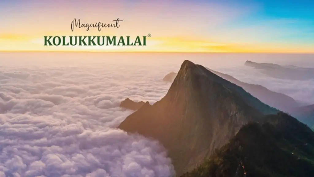 Kolukkumalai Plantation & Stays