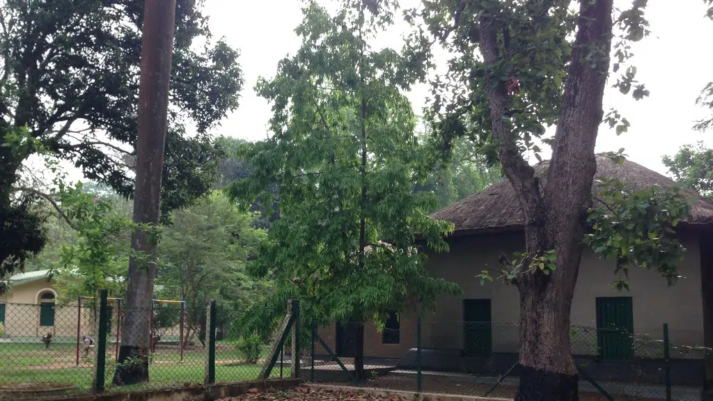 Mrinalini Ananda Pathsala