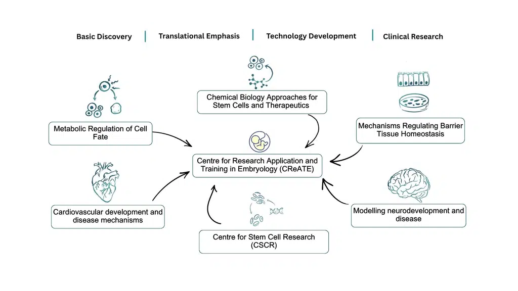 Institute for Stem Cell Science and Regenerative Medicine