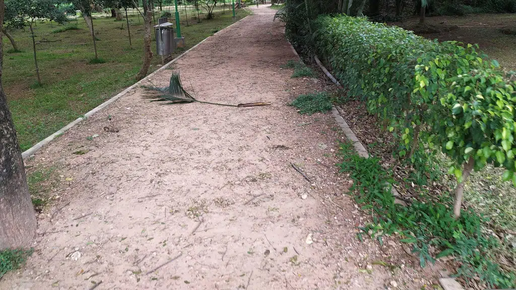 Cubbon Park, Bangalore