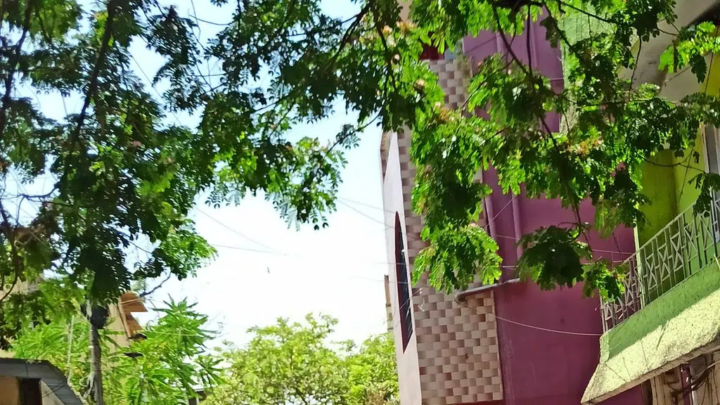 Indian Institute of Yoga