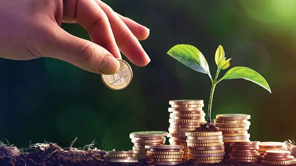 Bharati Wealth