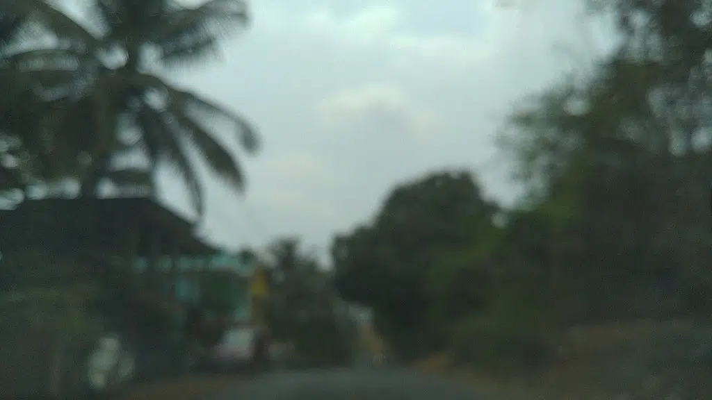 Goa R. S. Taxi service