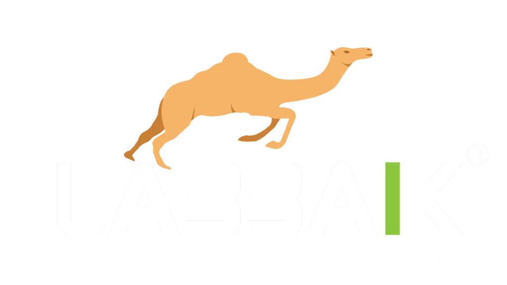 Labbaik International