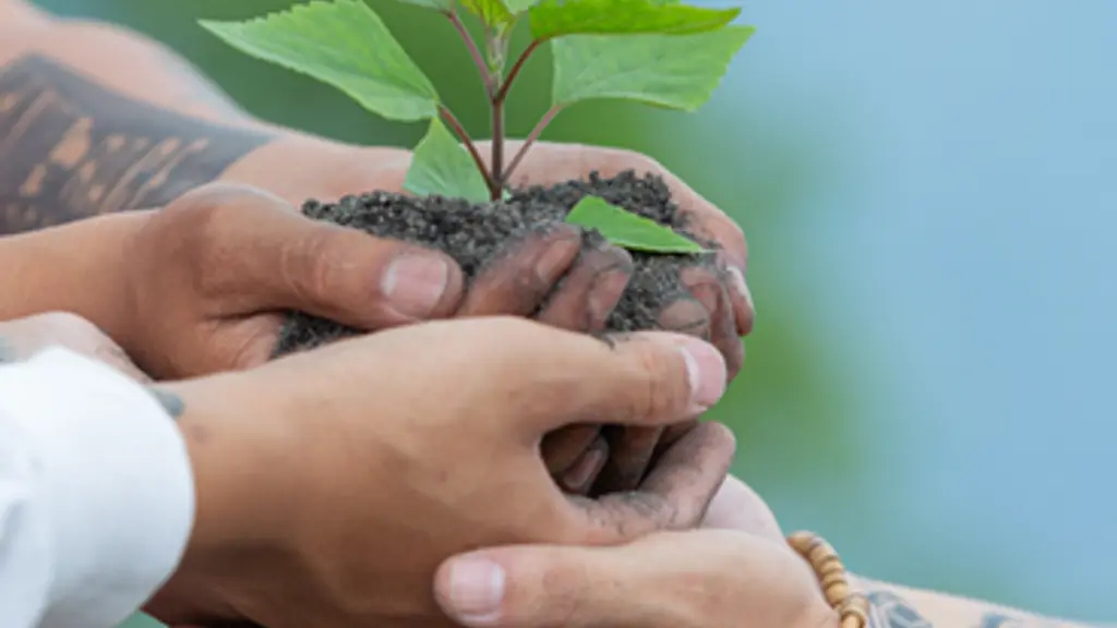 Pat Agrotech Pvt Ltd