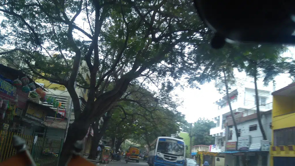 Sanghaniketan