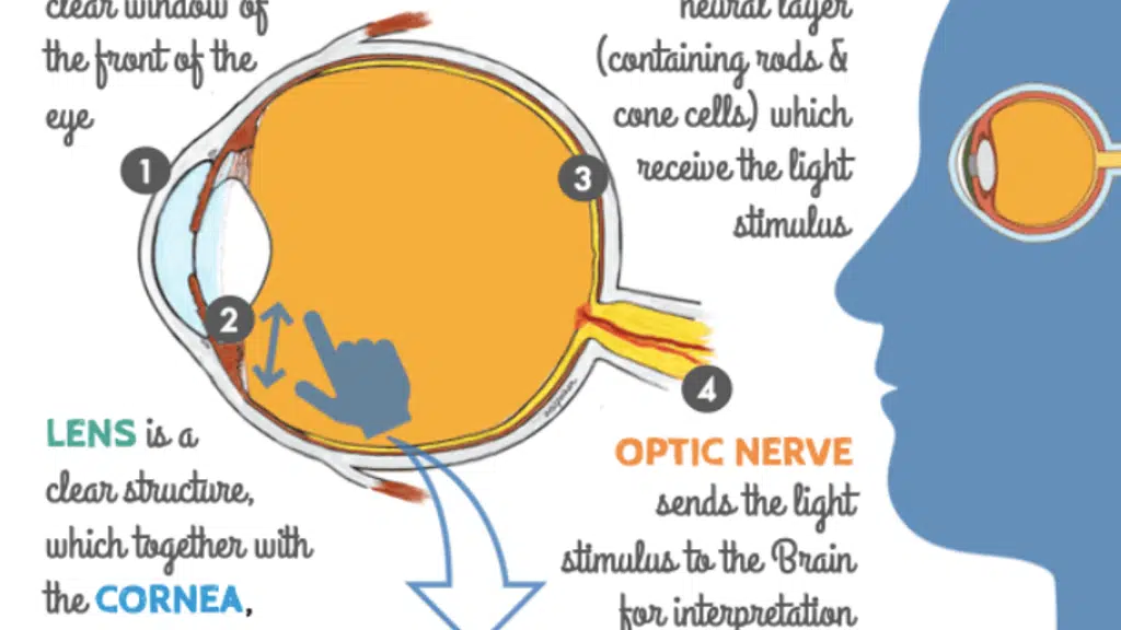 Care One Retina and Eye Centre