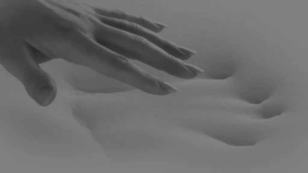 Care Foam Industries