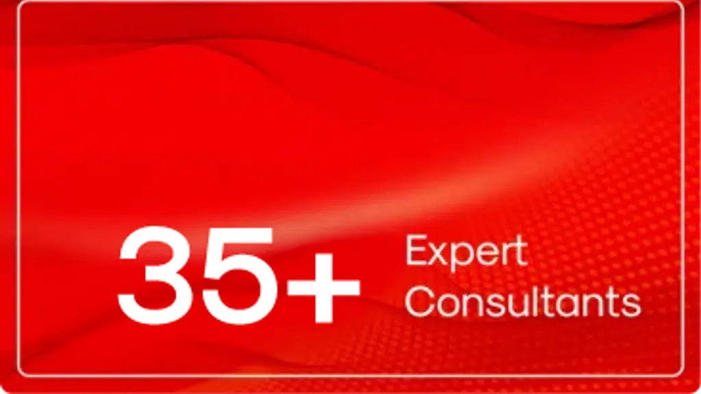 Bridgegap Consultants
