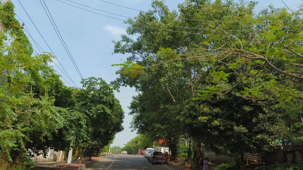 Amruta Ruchulu