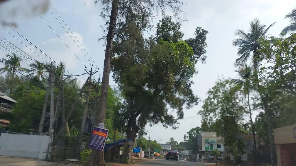 South Indian Bank