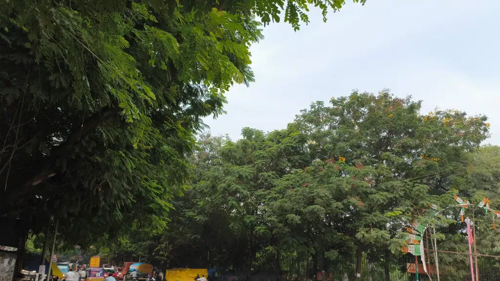 Sri Sri Sri Bangaru Maisamma Temple