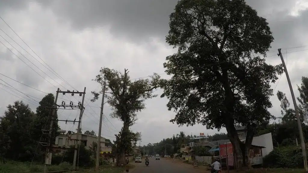 Nature View Cottages