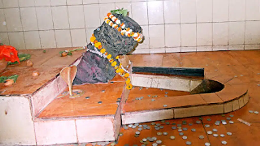 नवकुँज महादेवबेडा,जारगॊ