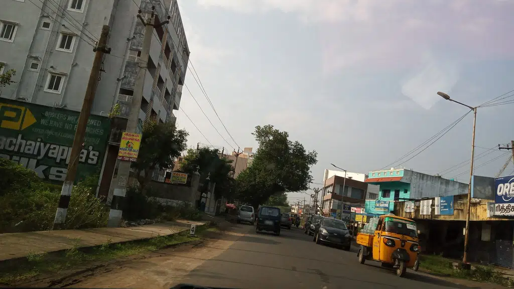 Sun Green Store