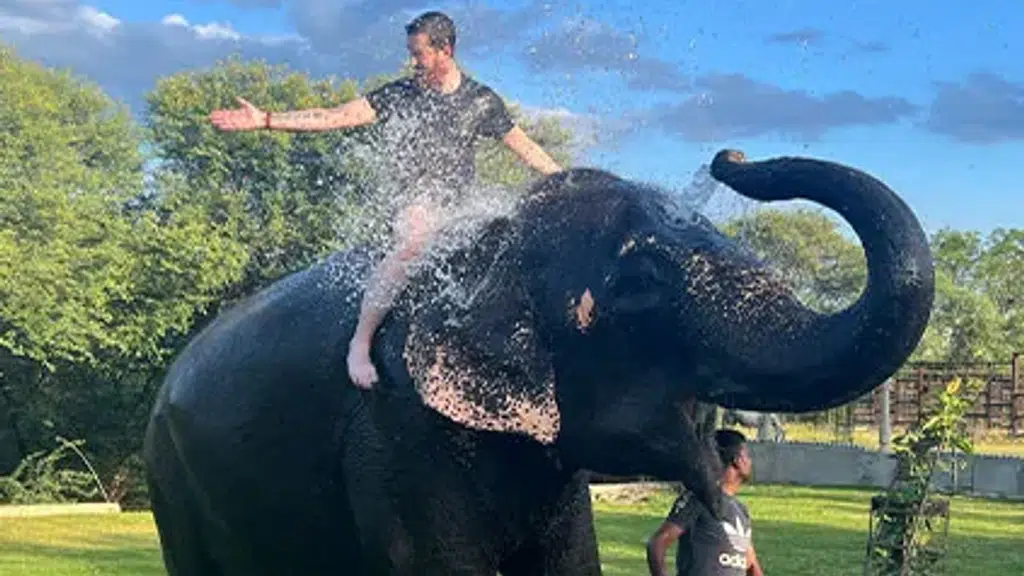 Elefriendride - The Best Elephant Ride