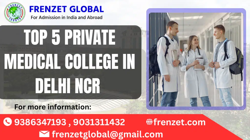 Frenzet  Global DELHI