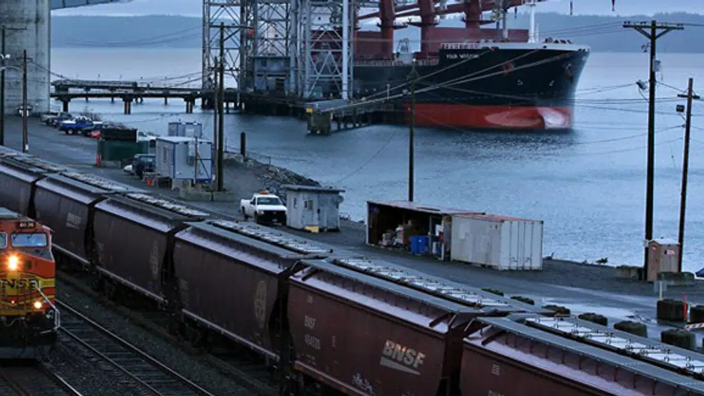 Southern Cargo Carriers - india