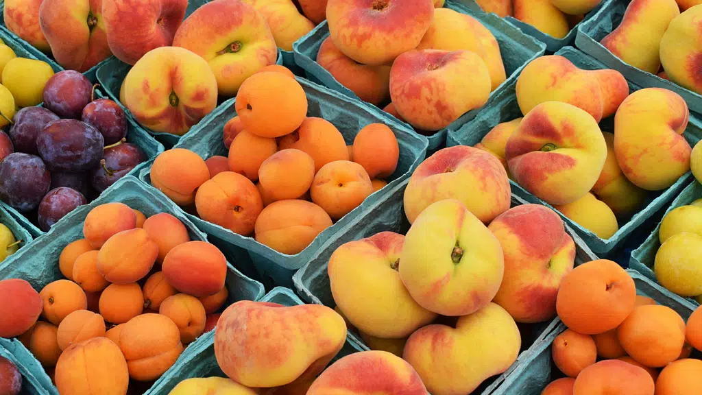 SVAAP Food Factory