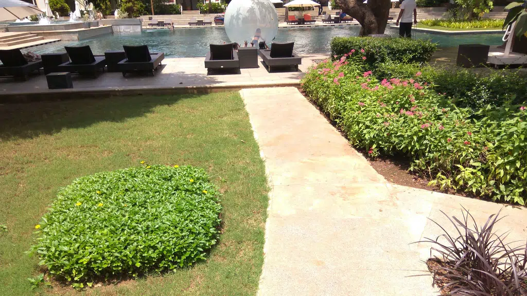 Capiz Bar at Grand Hyatt, Goa