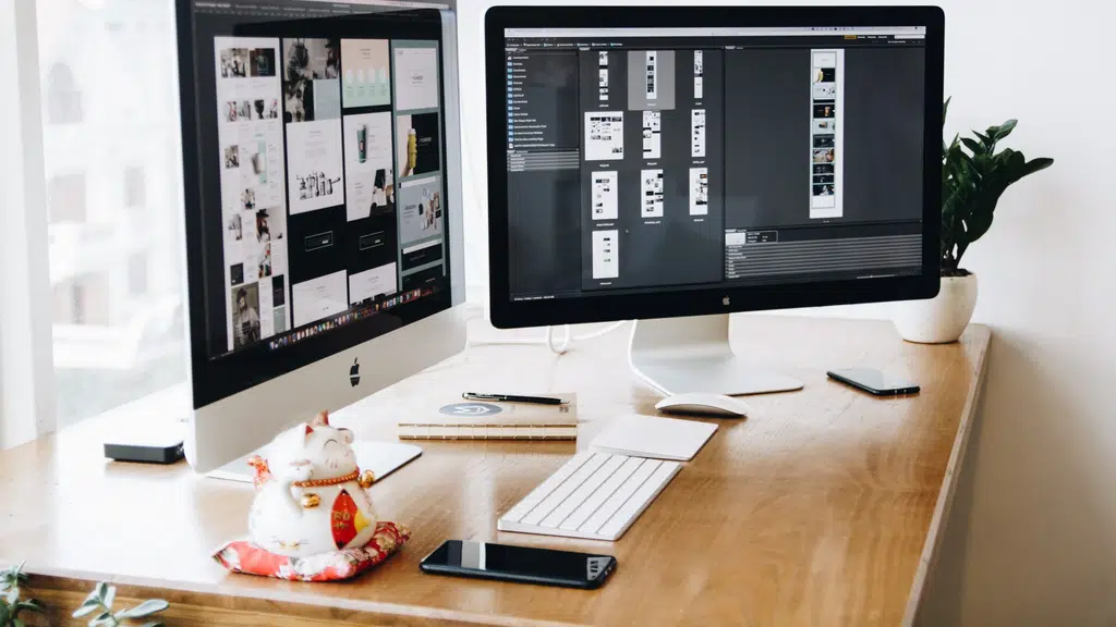 SEO Services & Web Design Company India - Design and Rank