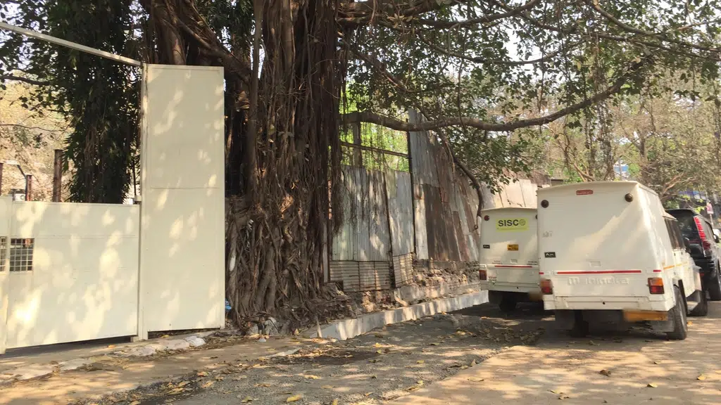 The Yoga Institute