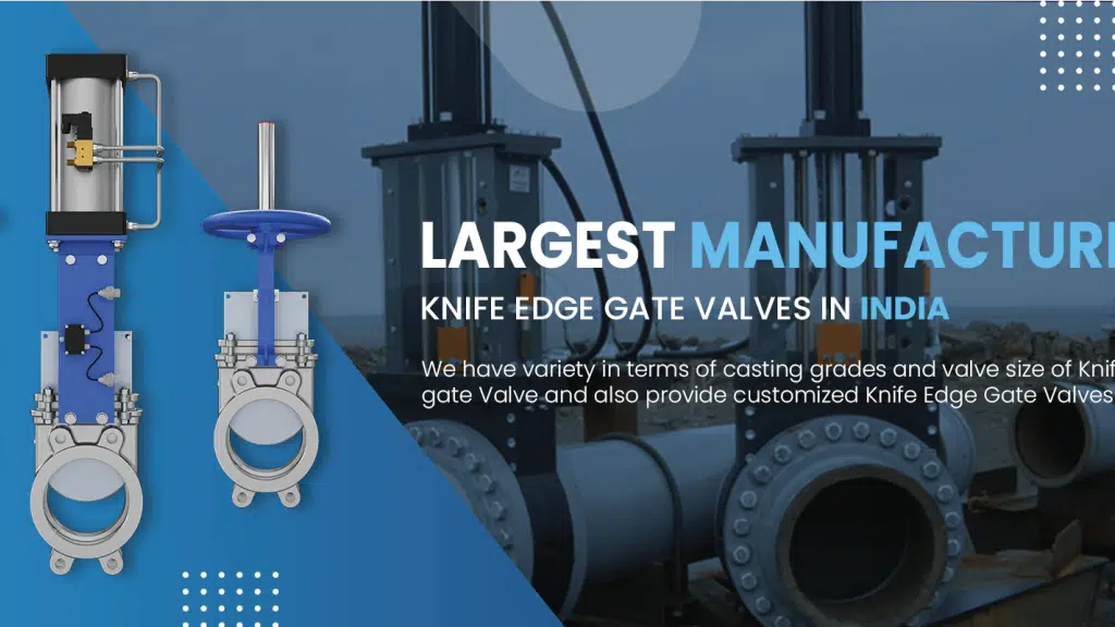 Maruti Valves