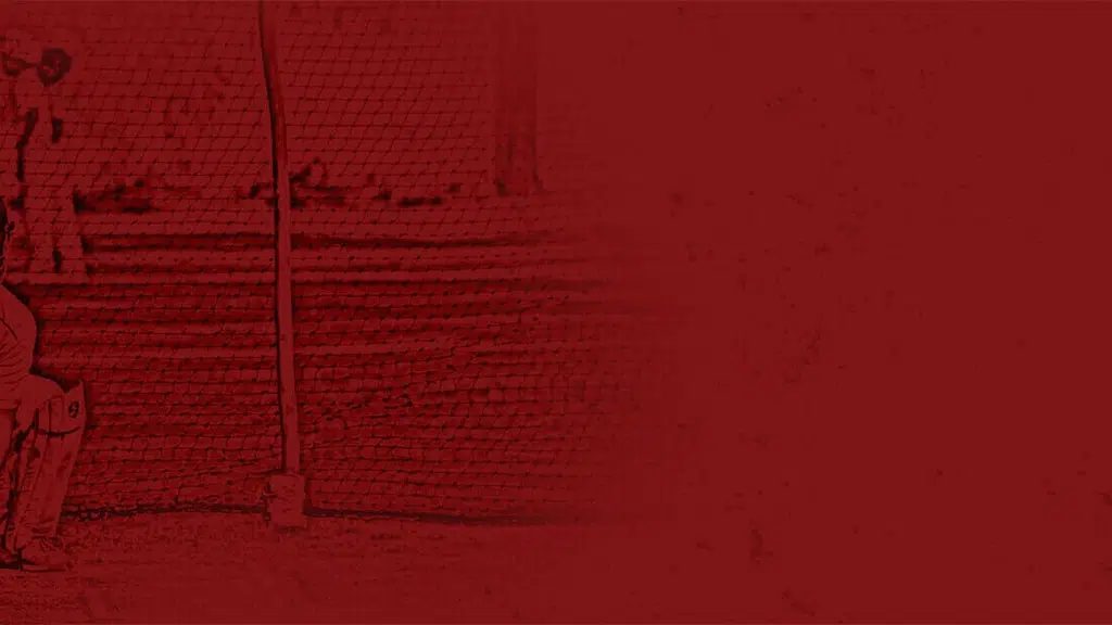 Sehwag Cricket Academy