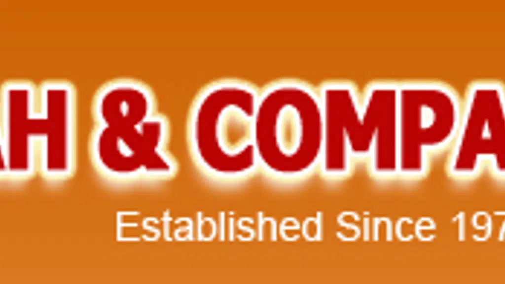 V. Shah And Company