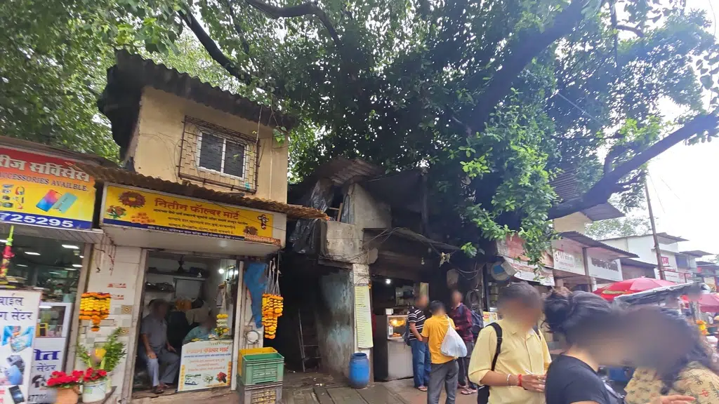 Vilas Estate Agent