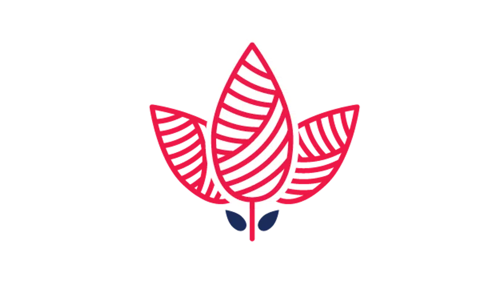 Craftex India