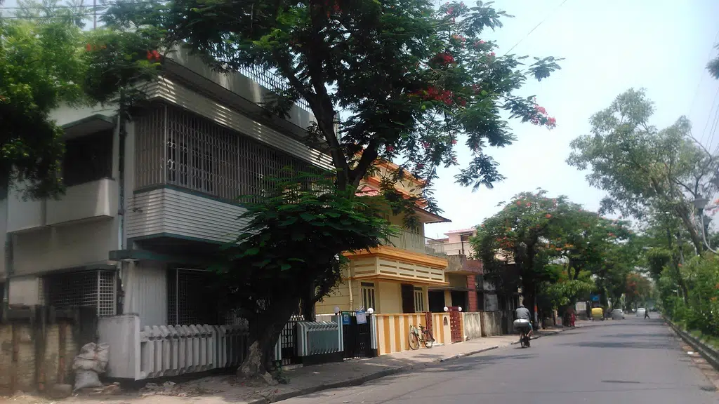 Integrated Health Care Services