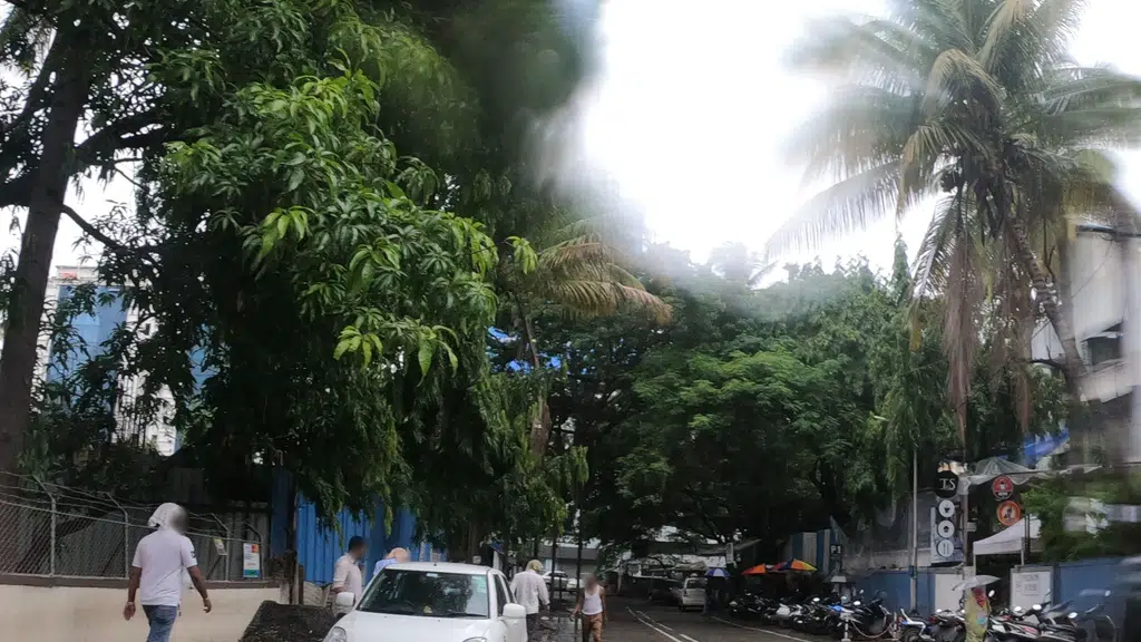 Nandan House