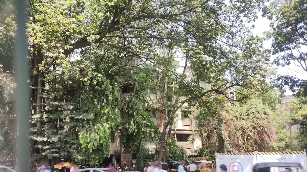 Wadia College Campus Gate 1