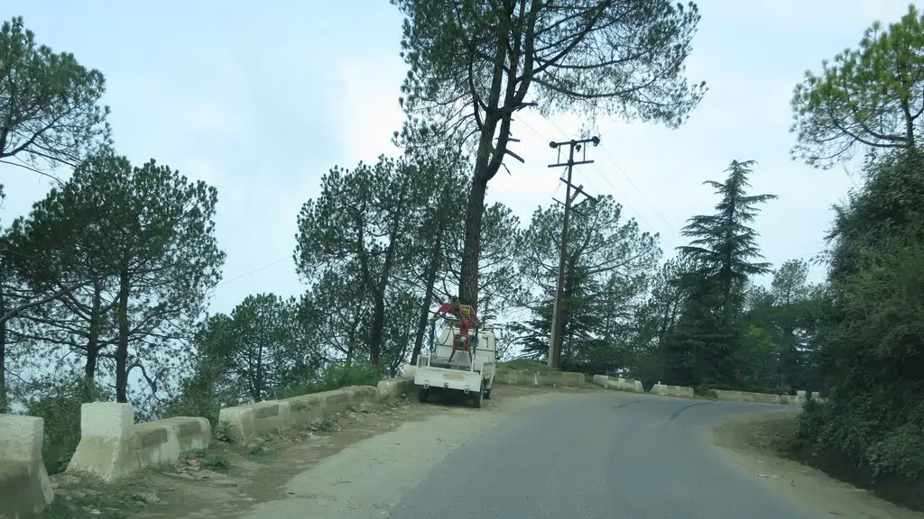 Nomad Village Shimla