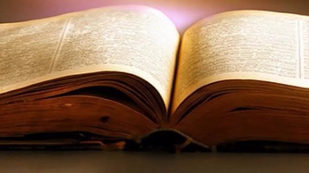 The India Bible Mission