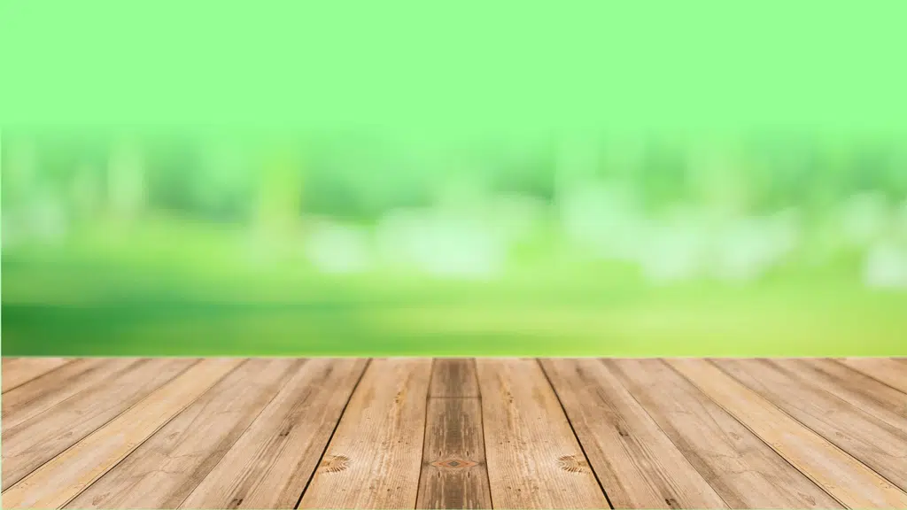 Dr. Sujata Bajaj Ayurvedic Clinic