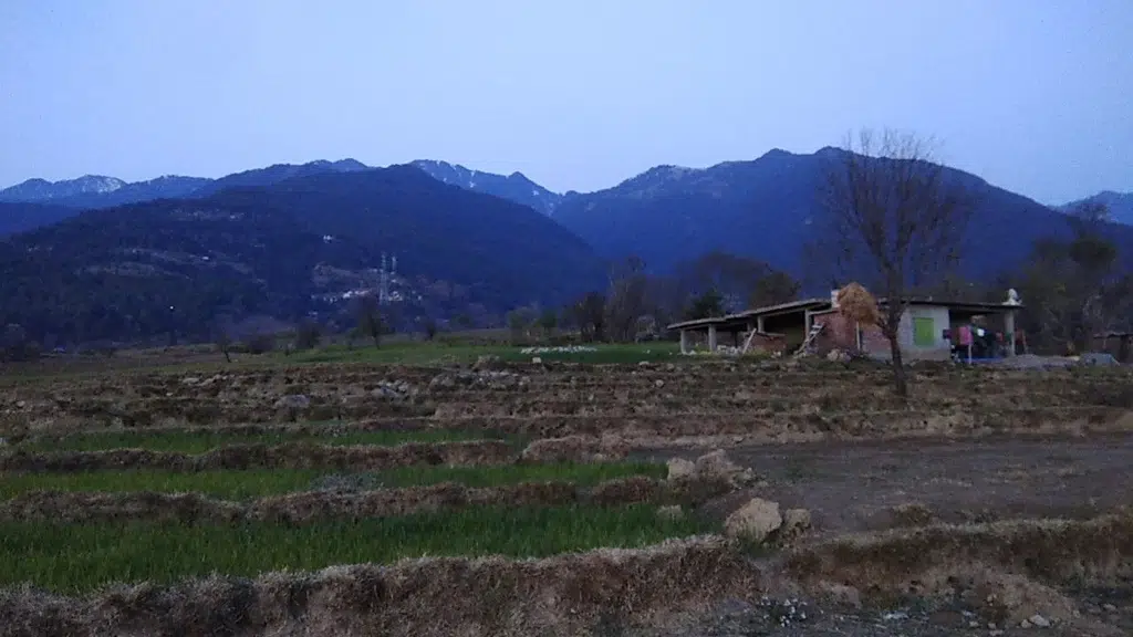 Bir Billing - Asia's First Highest Paragliding Spot.