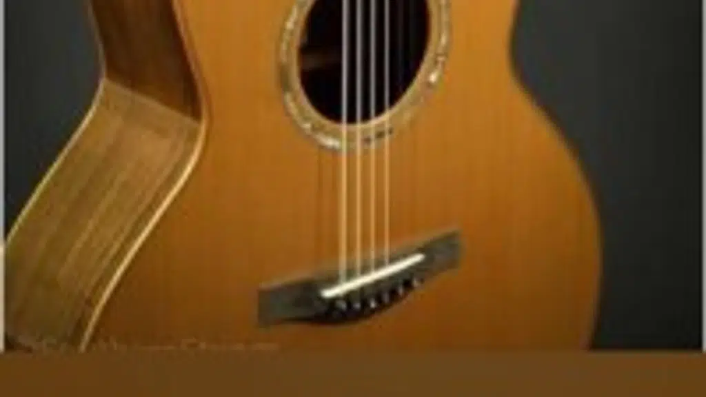 Guitar hawain classical music tutor ( goutam Banerjee)