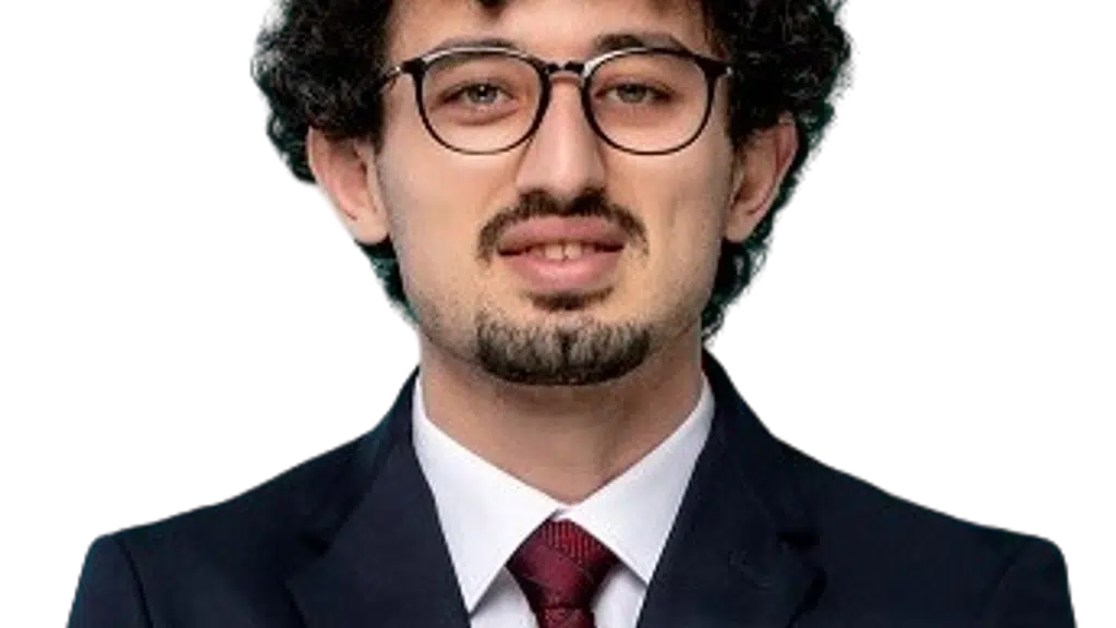 The Consultant Guru