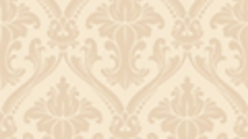 DreamCurves Design Studio