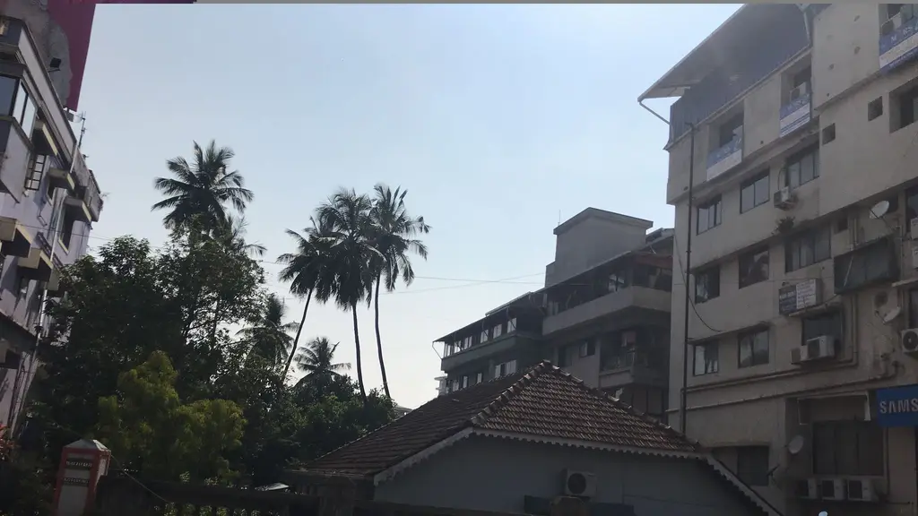 Doctor Rai Homeopathy Centre