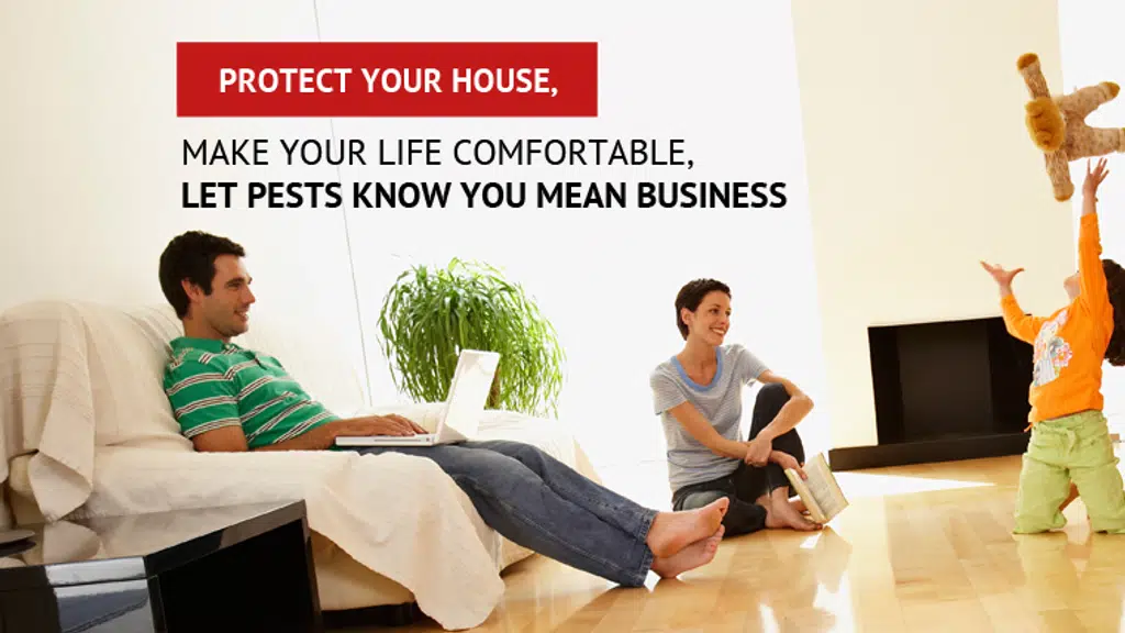 A To Z Pest Control