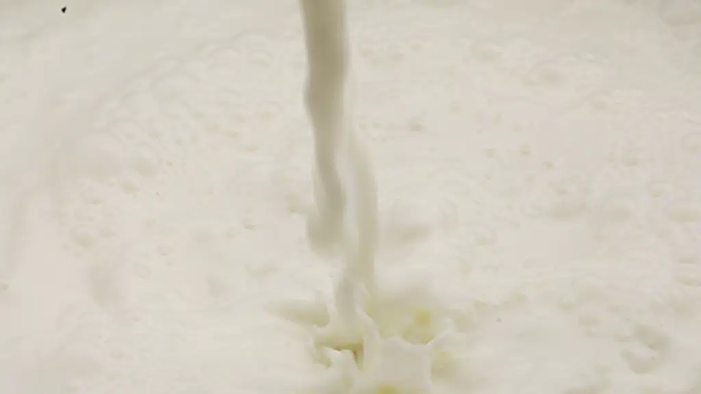 Milk Palace