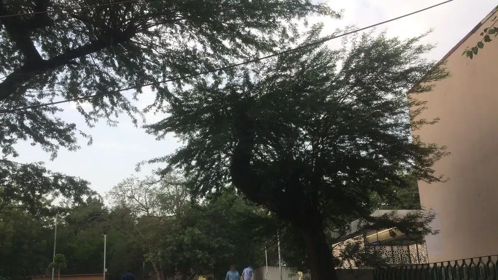 Ranjeeta