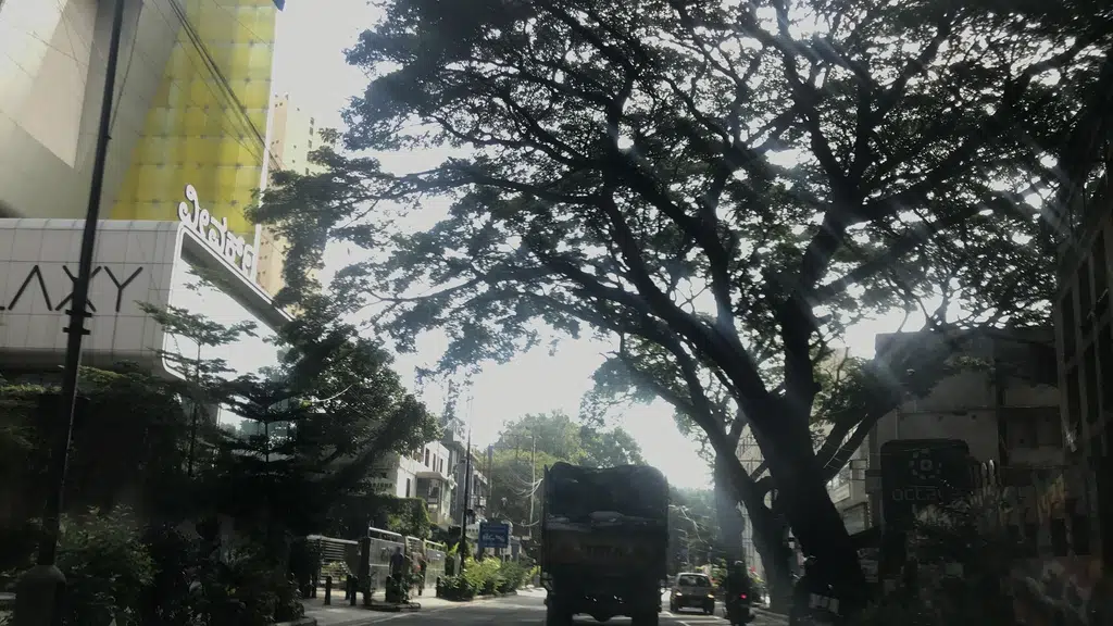 Planet Fashion - Residency Road
