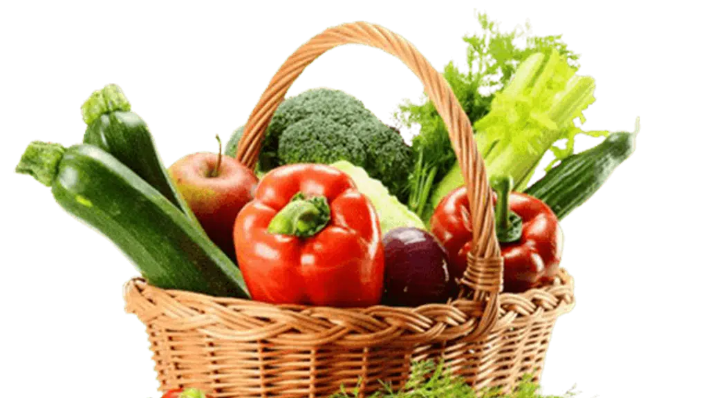Devamrut Agrotech Private Limited